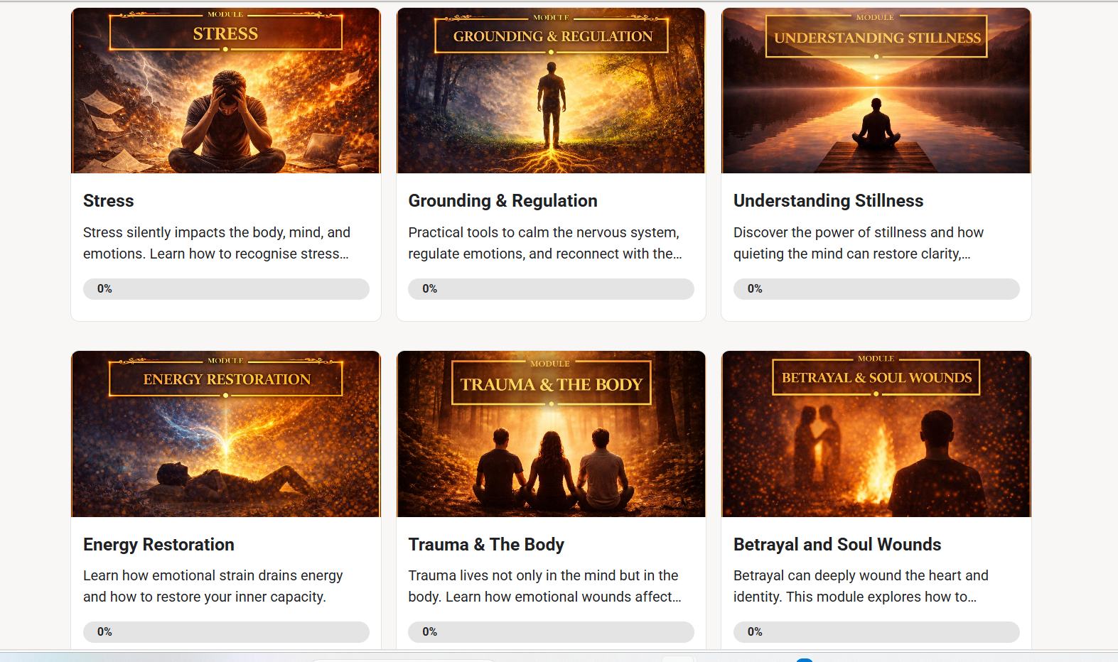 Academy modules on Stress, Grounding and Regulation, Understanding Stillness, and Energy Restoration